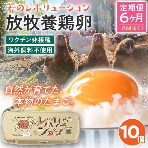 卵 定期便 6回 放牧養鶏卵 10個 「破損補償2個含」 6ヶ月間 若のレボリューション 卵 ※北海道・沖縄・離島は配送不可