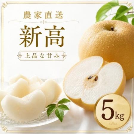 新高 梨 5kg 8～12玉 予約受付 梨 なし 甘い かすみがうら市【配送不可地域：離島・沖縄県】【1743817】