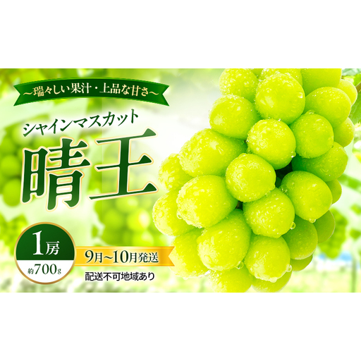 ぶどう 2026年 先行予約 シャインマスカット 晴王 1房 約700g 9月～10月発送  岡山県産 シャインマスカット