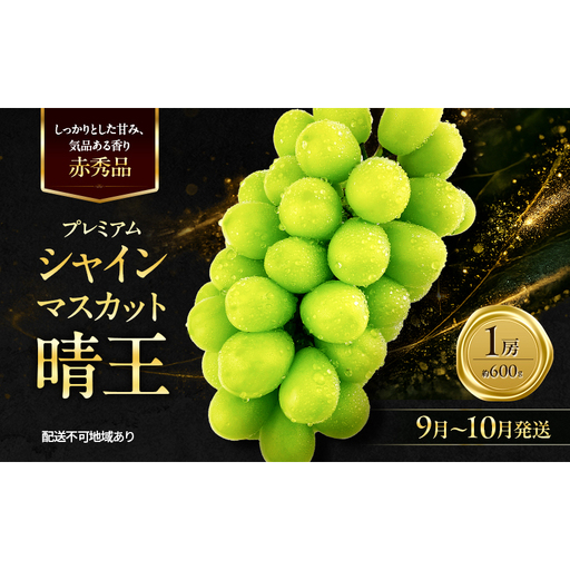 ぶどう 2026年 先行予約 赤秀ぶどう プレミアム シャインマスカット 晴王 1房 600g 9月～10月発送  岡山県産 シャインマスカット