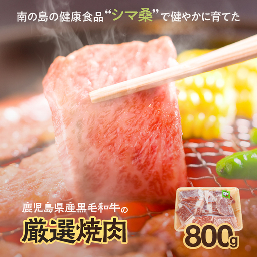 南の島育ち! 牛 焼肉 おまかせ 800g( リブロース ・ サーロイン ・ ヒレ のいずれか1部位) C079-001 肉 牛肉 冷凍