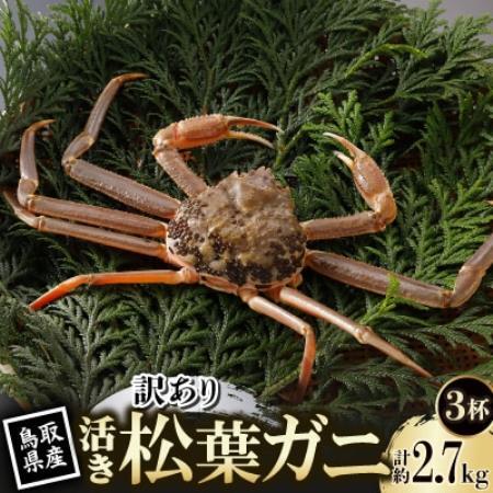 【先行予約】鳥取県産 訳あり 活 松葉がに 900g×3杯(中村商店)2026年11月発送【配送不可地域：離島・北海道・沖縄県・東北・信越、北陸】【1653949】