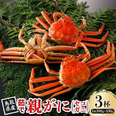 【先行予約】鳥取県産 茹 親がに(セコガニ)100～130g×3杯 2026年11月発送【配送不可地域：離島・北海道・沖縄県・東北・信越、北陸】【1654349】
