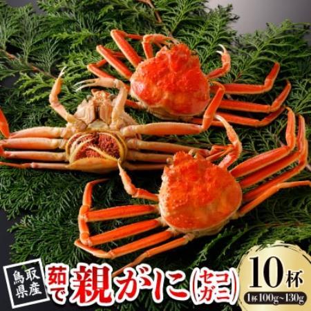 【先行予約】鳥取県産 茹 親がに(セコガニ)100～130g×10杯 2026年11月発送【配送不可地域：離島・北海道・沖縄県・東北・信越、北陸】【1654359】