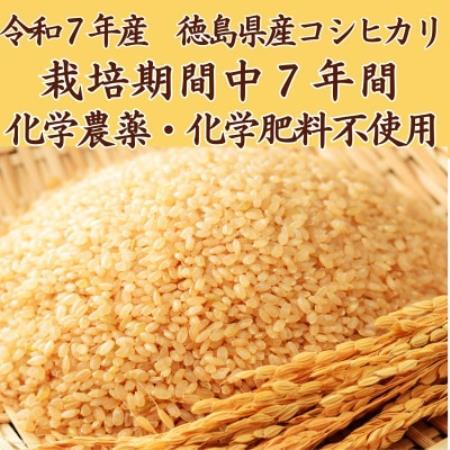 栽培期間中7年間化学農薬・化学肥料不使用　徳島県産コシヒカリ　10kg　玄米【1711896】