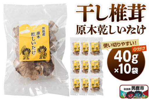 干し椎茸 原木乾しいたけ 40g×10袋 男鹿産 男鹿ゴルフクラブ