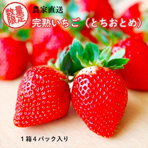 【先行予約／数量限定】農家直送　鮮度抜群の完熟苺　いちご（とちおとめ）4パック入り×1箱