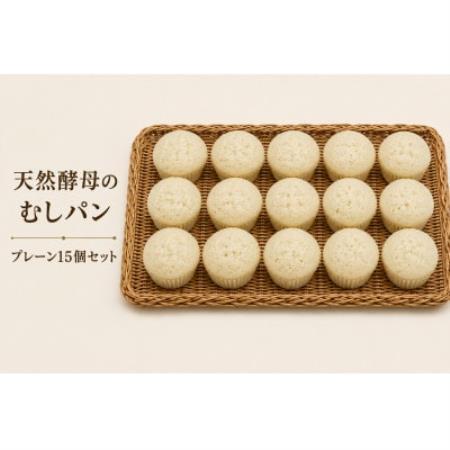 むしパン　プレーン15個セット【配送不可地域：離島】【1743315】