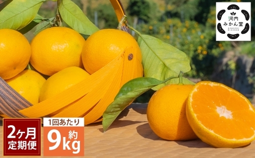 ＜ R8年熊本地震復興支援 ＞【 2ヶ月定期便 】 【 訳アリ 】 「 河内みかん堂 」 のみかん 約9kg + 傷み補償付き 約5玉 （ 家庭用 ） みかん ミカン 河内みかん 柑橘系 柑橘類 柑橘 くだもの 果物 フルーツ 果実 果汁 果肉 国産 熊本県産 旬 【 2026年11月上旬発送開始 】