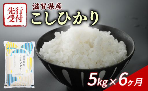 [毎月 6回定期便]白米 5kg こしひかり 近江米 精米 新米 ブランド米 定期便