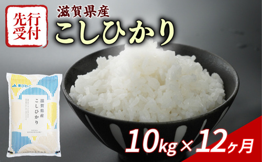 令和8年産 新米 先行予約 こしひかり 10kg 12回定期便 新米