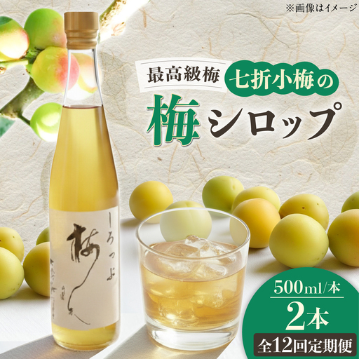 【全12回定期便】梅シロップ 七折小梅の梅シロップ 500ml×2本 / 梅シロップ シロップ 梅 うめ ウメ 七折小梅 梅ジュース 国産 砂糖 炭酸割り うめジュース 希釈用 プレゼント ギフト 人気 おすすめ / 愛媛県砥部町/農事組合法人ななおれ梅組合[BJAG004]