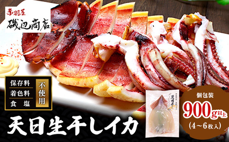 いか 一夜干し 干物  4～6枚 900g以上 スルメイカ