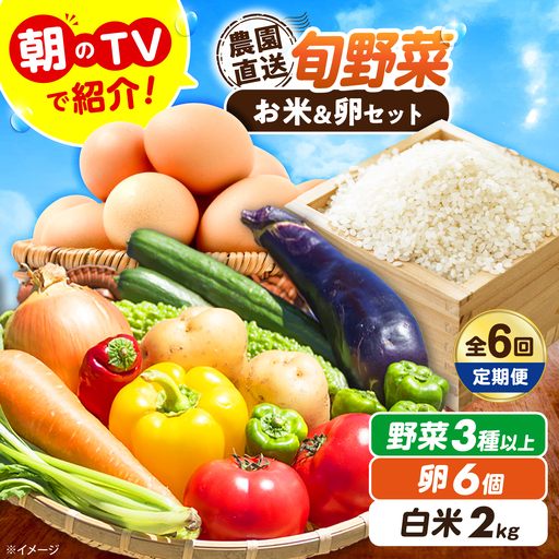 【全6回定期便/2026年10月以降発送】旬のお野菜3種類以上＆お米2kg＆平飼い卵セット 大阪府高槻市/ベジ彩ファーム[AOEJ017]