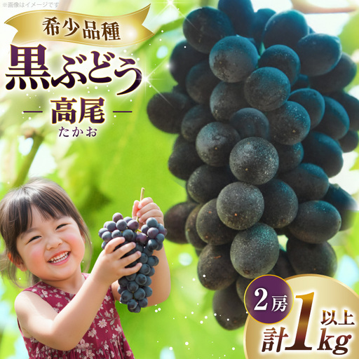 [期間限定発送] ぶどう 高尾 1kg以上 (2房)