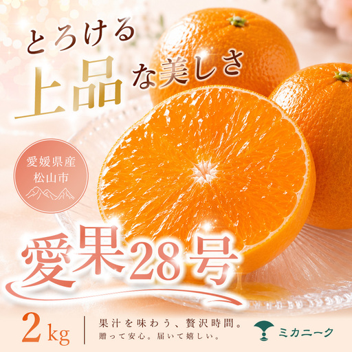 [ 紅まどんな と同品種] あいか28号 家庭用 2kg [2026年11月下旬頃から発送] | 愛果28号 みかん まどんな 