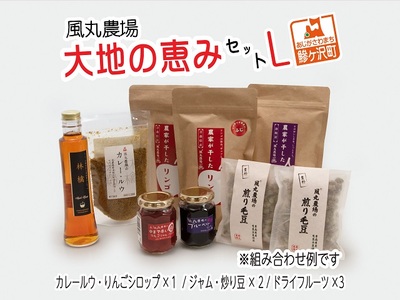 ドライフルーツ詰合せ 大地の恵み 風丸農場 ドライフルーツ詰合せ【Lサイズ】