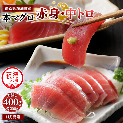 天然本マグロ 赤身 中トロ 400g 各200g [fu-0015-021_11]