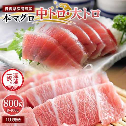 天然本マグロ  中トロ 大トロ 800g 各400g 【fu-0015-025_11】