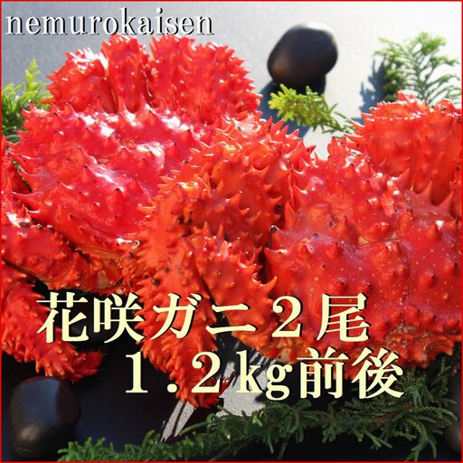 【北海道根室産】花咲ガニ2尾 計1.2kg前後 B-57031