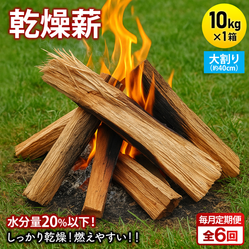 【毎月定期便】乾燥薪 キャンプ用 10kg 大割(約40cm) 広葉樹ミックス全6回【4087749】