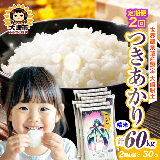 定期便《精米》令和7年 宮城県産 つきあかり 30kg(5kg×6)×2回（計60kg） | ot006-ta-30kg-r704-t2