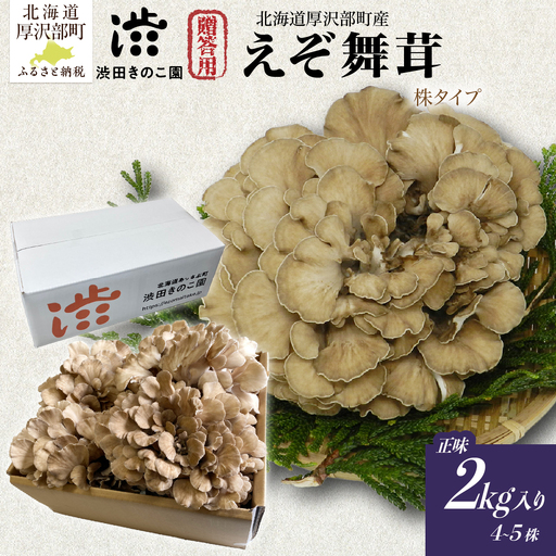 【肉厚・香り豊か】厚沢部の極み えぞ舞茸 正味2kg入り (4～5株) 贈答用（株タイプ） 北海道厚沢部町産 渋田きのこ園 冷蔵直送 ASM008