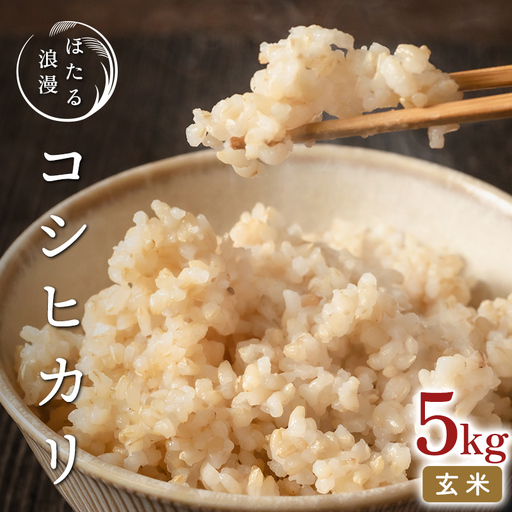 ほたる浪漫のこだわり米 コシヒカリ 玄米 5kg 米 玄米 コメ ごはん ご飯 食品  F25R-151