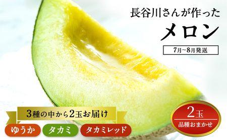 [先行予約]メロン 2玉 品種おまかせ メロン
