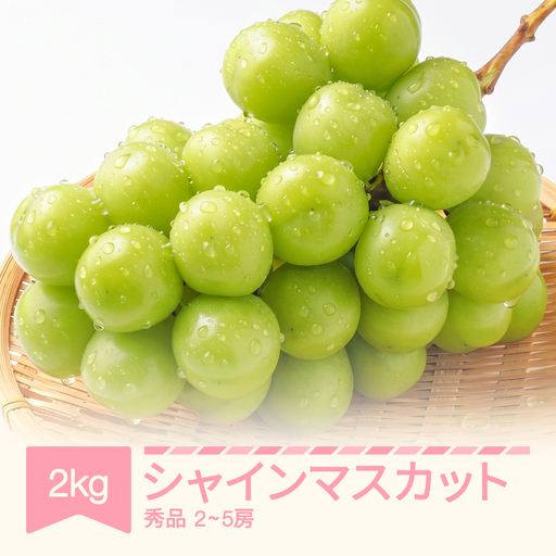 令和8年産 ぶどう シャインマスカット 秀品 約2kg (2~5房) 9月中旬~10月中旬発送 sp-busmx2000