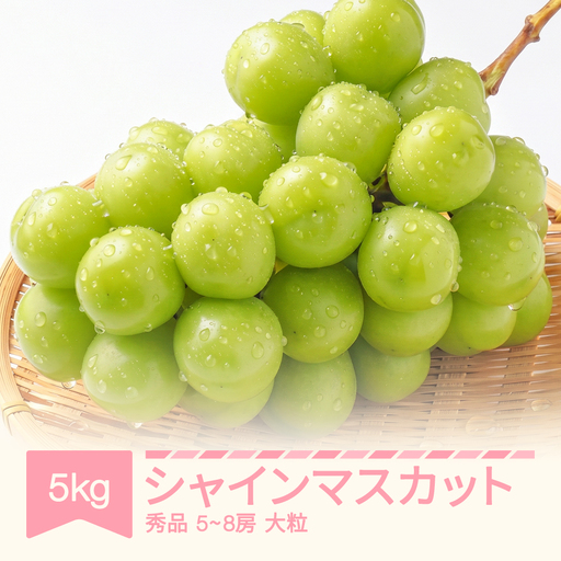令和8年産 ぶどう 大粒シャインマスカット 秀品 約5kg 5~8房 9月中旬~10月中旬発送 sp-busmo5000
