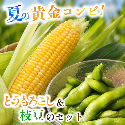 [6月順次発送 とうもろこし5本 枝豆3袋 セット] 夏の黄金コンビ! 朝採り とうもろこし 枝豆 セット 旬 濃厚 丸新柴本製茶 静岡 県 牧之原市