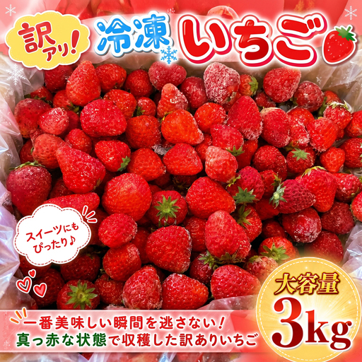 [訳あり] いちご 冷凍いちご 3kg いちご