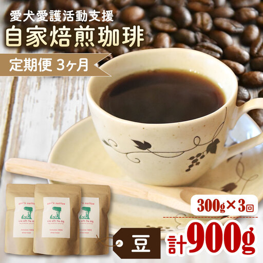 コーヒー豆 【定期便3か月】ann's cafe 100g×3種 コーヒー豆
