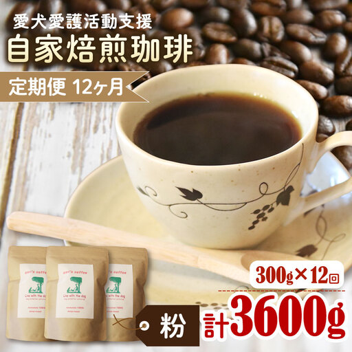 コーヒー粉 【定期便12か月】ann's cafe 100g×3種 コーヒー粉