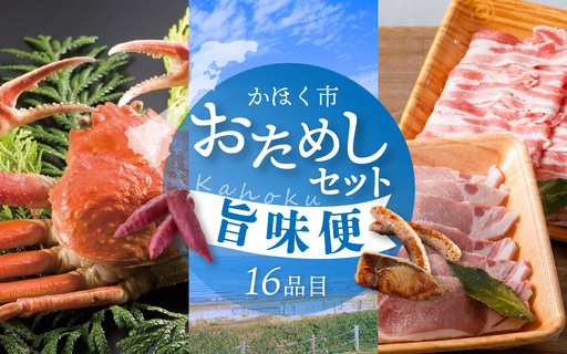 かほく市 おためしセット 〜旨味便〜(全16品)