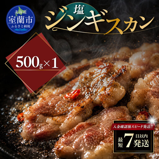 塩ジンギスカン500g×1 MROA209