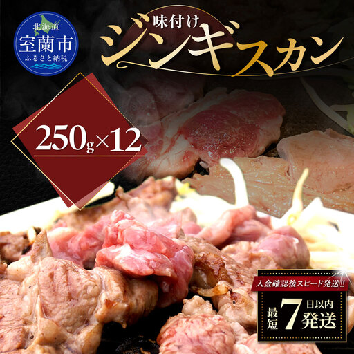 味付けジンギスカン250g×12 MROA268