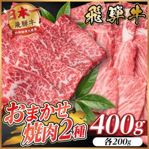 [訳あり]飛騨牛 おまかせ焼肉2種セット 約400g[配送不可地域:離島]