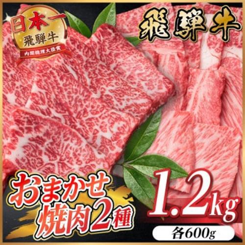 【訳あり】飛騨牛 おまかせ焼肉2種セット約1.2kg【配送不可地域：離島】【1738981】