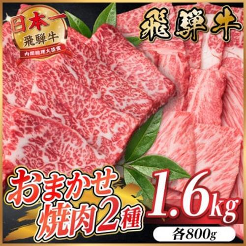 飛騨牛　おまかせ焼肉2種セット約1.6kg(各約800g) 訳あり【配送不可地域：離島】【1738983】