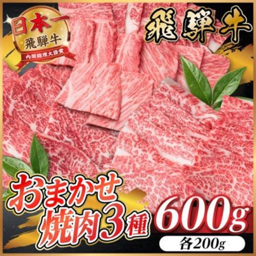 [訳あり]飛騨牛 おまかせ焼肉3種セット約600g[配送不可地域:離島]