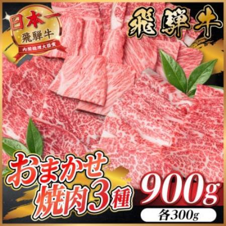 飛騨牛　おまかせ焼肉3種セット約900g(各約300g)訳あり　BBQ　上カルビ・ロースなど【配送不可地域：離島】【1739037】