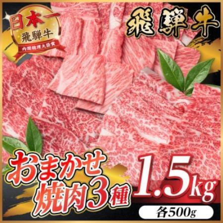 飛騨牛　おまかせ焼肉3種セット1.5kg(各約500g)訳あり　BBQ　上カルビ・ロースなど【配送不可地域：離島】【1739042】