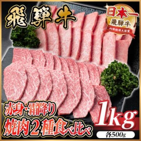 飛騨牛　赤身・霜降り焼肉2種食べ比べセット(ヒレ・三角バラカルビ)　計1kg(各500g)タレ付き【配送不可地域：離島】【1745795】