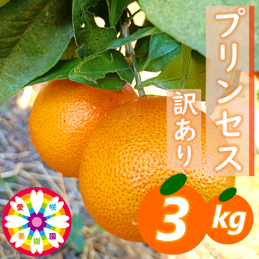 【先行受付】愛咲果樹園「プリンセス（愛果48号）」 紅プリンセスと同品種 訳あり 約3kg【C71-35】【1718250】YWTS031