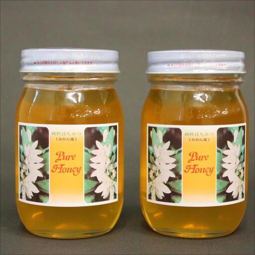 みかん蜜セット 600g ×2 【maruni098】