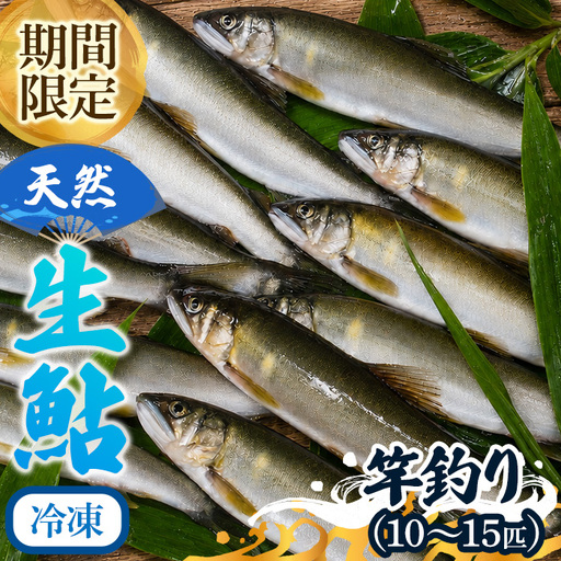 由良川 天然生鮎 冷凍 竿釣り10〜15匹 由良川漁業組合