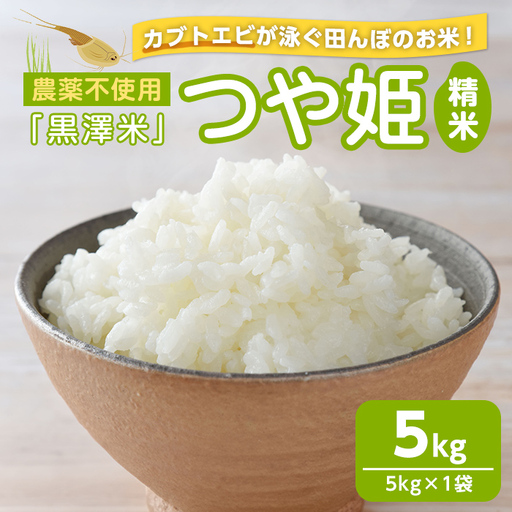 農薬不使用 つや姫 精米 5kg [カブトエビ田んぼで育てたお米] 黒澤米 宮城県登米市産 お米 おこめ 米 コメ 白米 ご飯 ごはん おにぎり お弁当 [株式会社天体]tm448