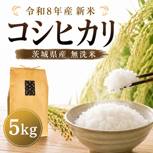 新米 コシヒカリ 無洗米 5kg 先行予約 令和8年 数量限定